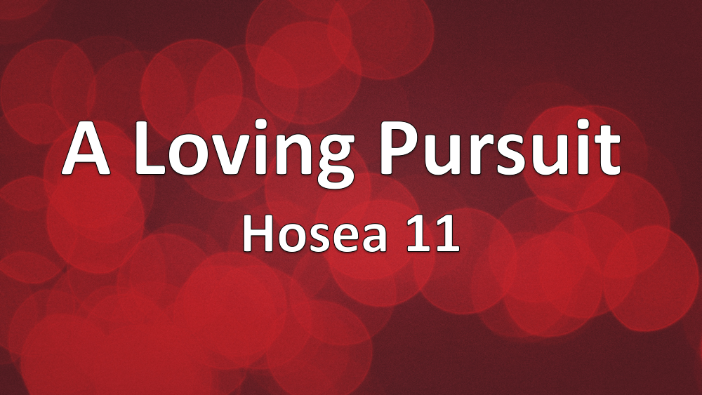 A Loving Pursuit: Hosea 11