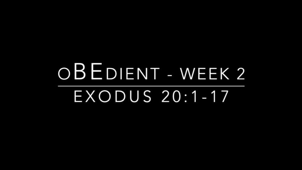 oBEdient - Week 2 Image