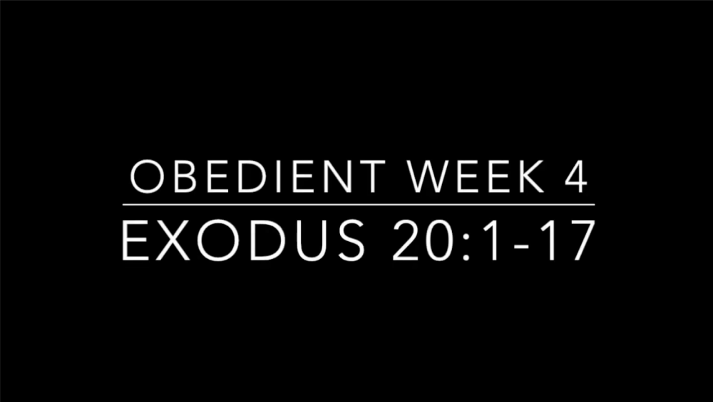 oBEdient - Week 4 Image