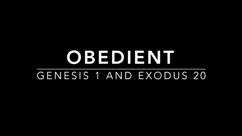 oBEdient - Week 5 Image